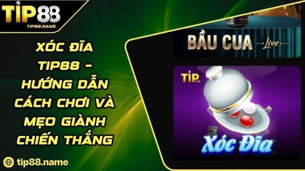 Chiến thuật chơi Xóc đĩa TIP88 hiệu quả cho newbie