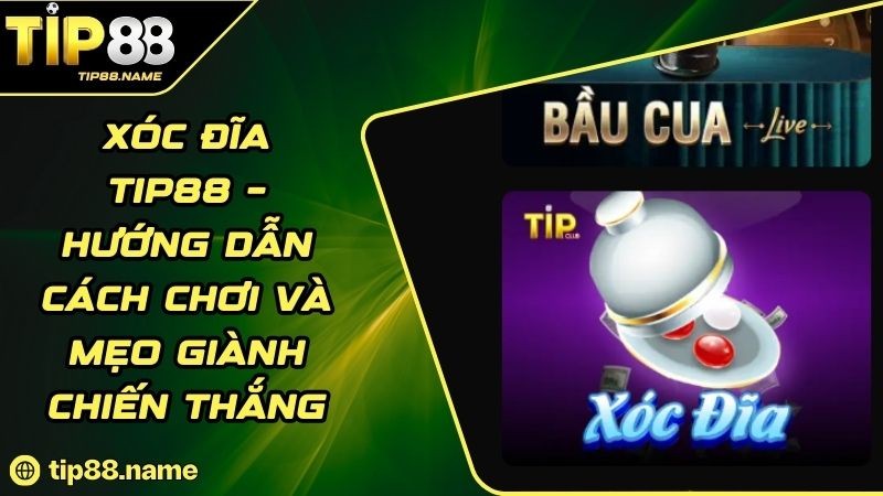 Chiến thuật chơi Xóc đĩa TIP88 hiệu quả cho newbie Chiến thuật chơi Xóc đĩa TIP88 hiệu quả cho newbie